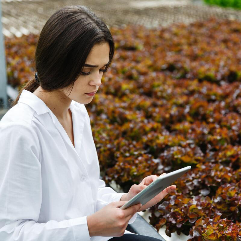 Curso Online Iniciación APPCC en la industria agroalimentaria